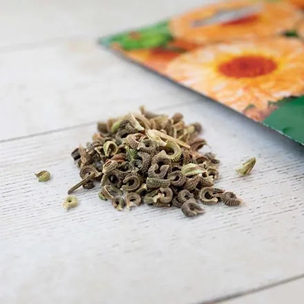 Unwins Calendula Needles And Pins Seeds