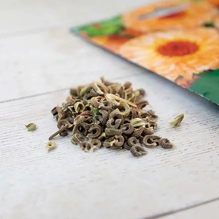 Unwins Calendula Pink Surprise Seeds