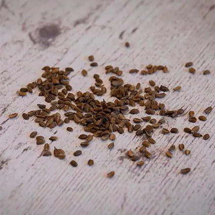 Unwins Carrot Chantenay Red Cored 2 Seeds