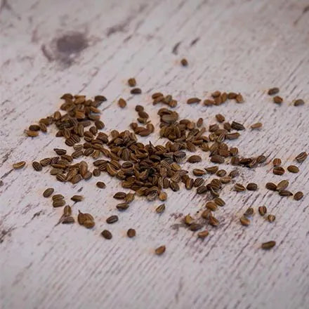 Unwins Carrot Resistafly F1 Seeds