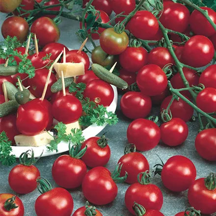 Unwins Cherry Tomato Sweet Million Seeds