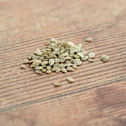 Unwins Cherry Tomato Sweet Million Seeds