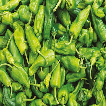 Unwins Chilli Pepper Padron Seeds