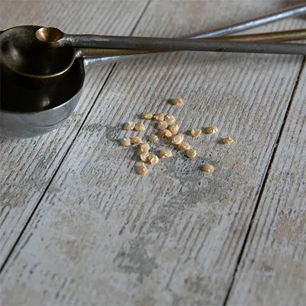 Unwins Chilli Pepper Padron Seeds