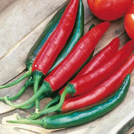 Unwins Chilli Pepper Tokyo Hot F1 Seeds