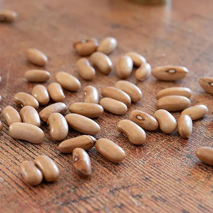Unwins Climbing French Bean Isabel Seeds