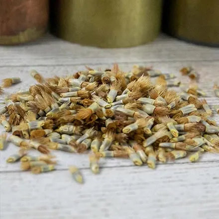 Unwins Cornflower Blue Diadem Seeds