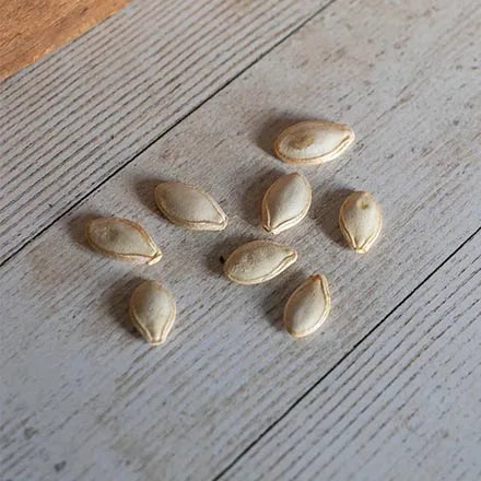 Unwins Courgette Firenze F1 Seeds