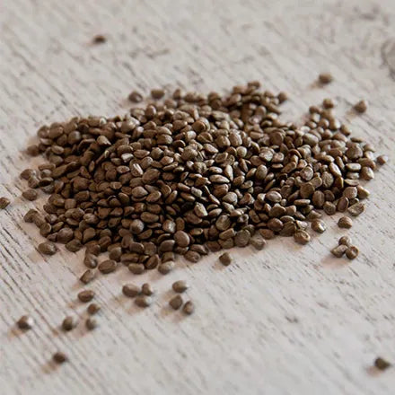 Unwins Cress Extra Curled Seeds