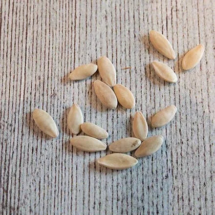 Unwins Cucumber Tasty King F1 Seeds