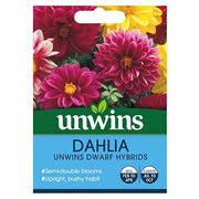 Unwins Dahlia Dwarf Hybrids Seeds