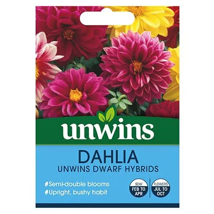 Unwins Dahlia Dwarf Hybrids Seeds