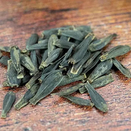 Unwins Dahlia Dwarf Hybrids Seeds