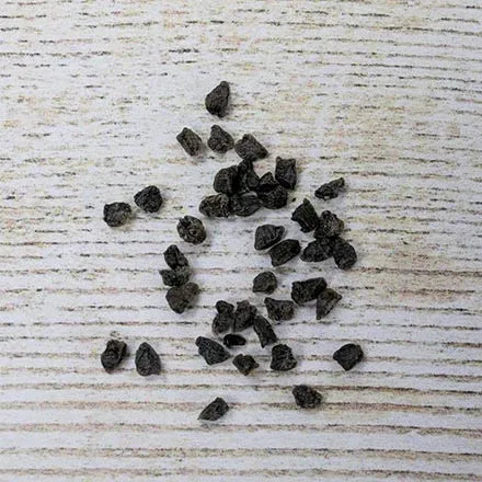 Unwins Delphinium Pacific Giants Seeds