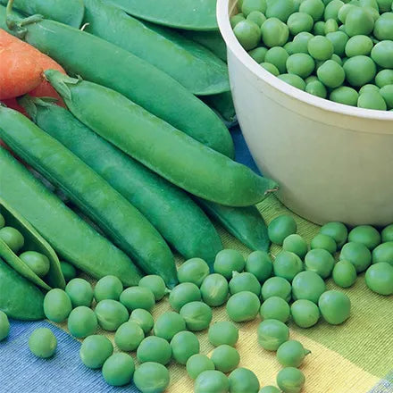 Unwins Early Pea Early Onward Seeds