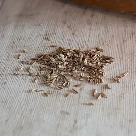 Unwins Fennel Perfection Seeds