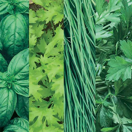 Unwins Herb Collection Pack Seeds