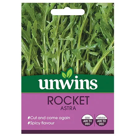 Unwins Herb Rocket Astra Seeds