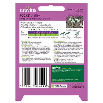 Unwins Herb Rocket Astra Seeds