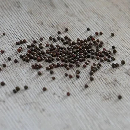Unwins Kale Cavolo De Nero Seeds