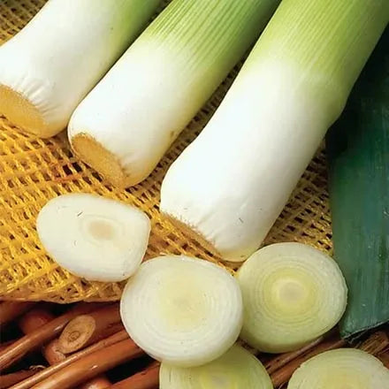 Unwins Leek Musselburgh Seeds