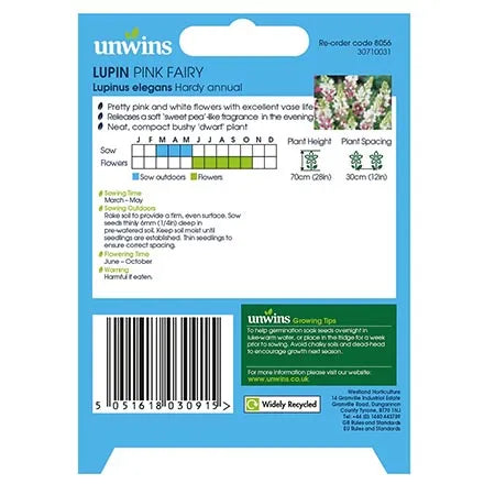 Unwins Lupin Pink Fairy Seeds