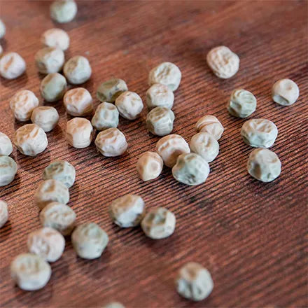 Unwins Mangetout Snow Pea Delikata Seeds