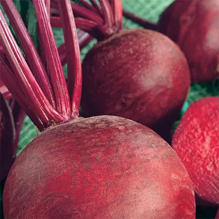 Unwins Organic Beetroot Detroit 2 Seeds