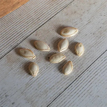 Unwins Organic Courgette Black Beauty Seeds