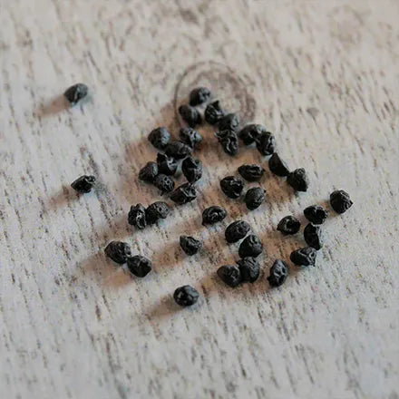 Unwins Organic Leek Carentan 2 Seeds
