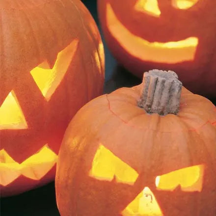 Unwins Pumpkin Halloween F1 Seeds