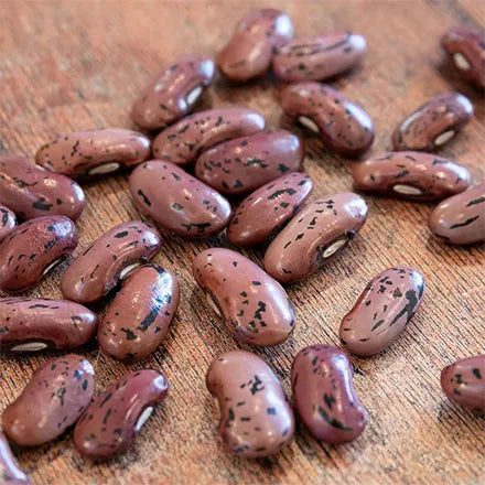 Unwins Runner Bean Scarlet Emperor Seeds