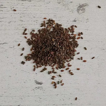 Unwins Stock Brompton Mix Seeds