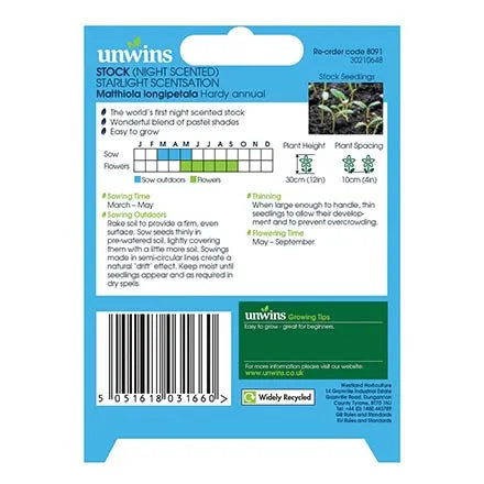 Unwins Stock Night Scented Starlight Scentsation Seeds