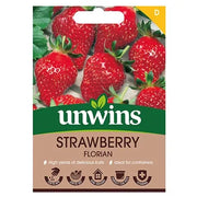 Unwins Strawberry Florian Seeds