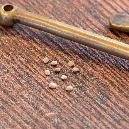 Unwins Strawberry Florian Seeds