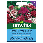 Unwins Sweet William Early Summer Scented Seeds