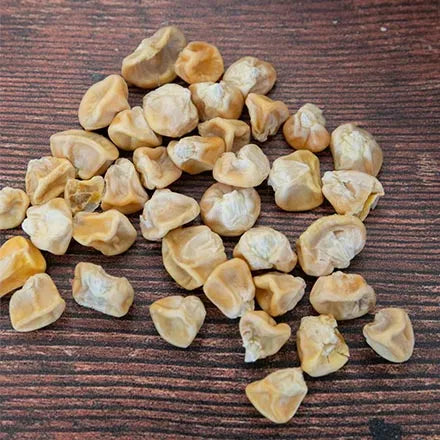 Unwins Sweetcorn Goldcrest F1 Seeds