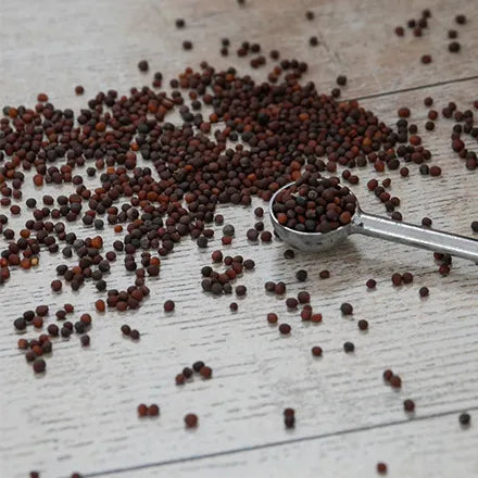 Unwins Thyme Seeds