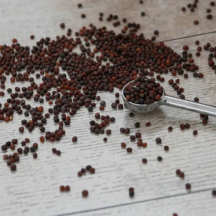 Unwins Turnip Sweetbell Seeds