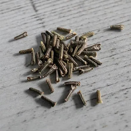 Unwins Verbena Scentsation Mix Seeds