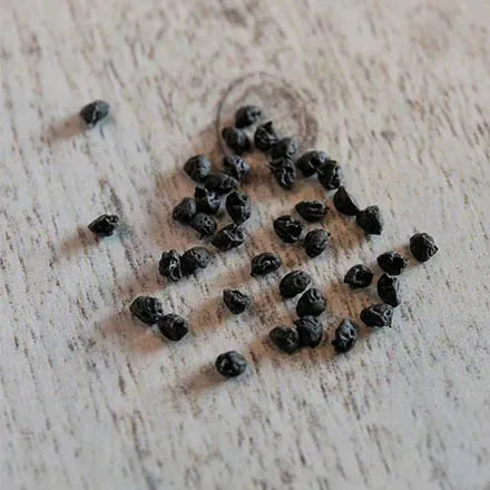 Unwins Vernal Leek Winter Giant 2 Seeds
