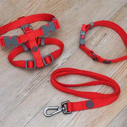 WalkAbout Dog Collar Red