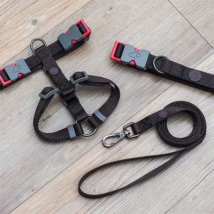 WalkAbout Dog Lead Jet 120 x 2cm