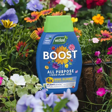 Westland Boost All Purpose Liquid Plant Feed 1L