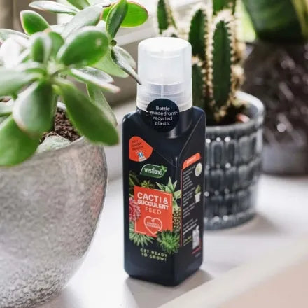 Westland Cacti & Succulent Feed 200ml 