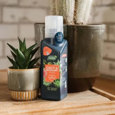 Westland Cacti & Succulent Feed 200ml 