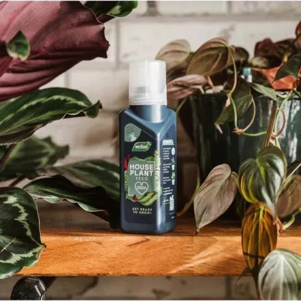 Westland Houseplant Feed 200ml