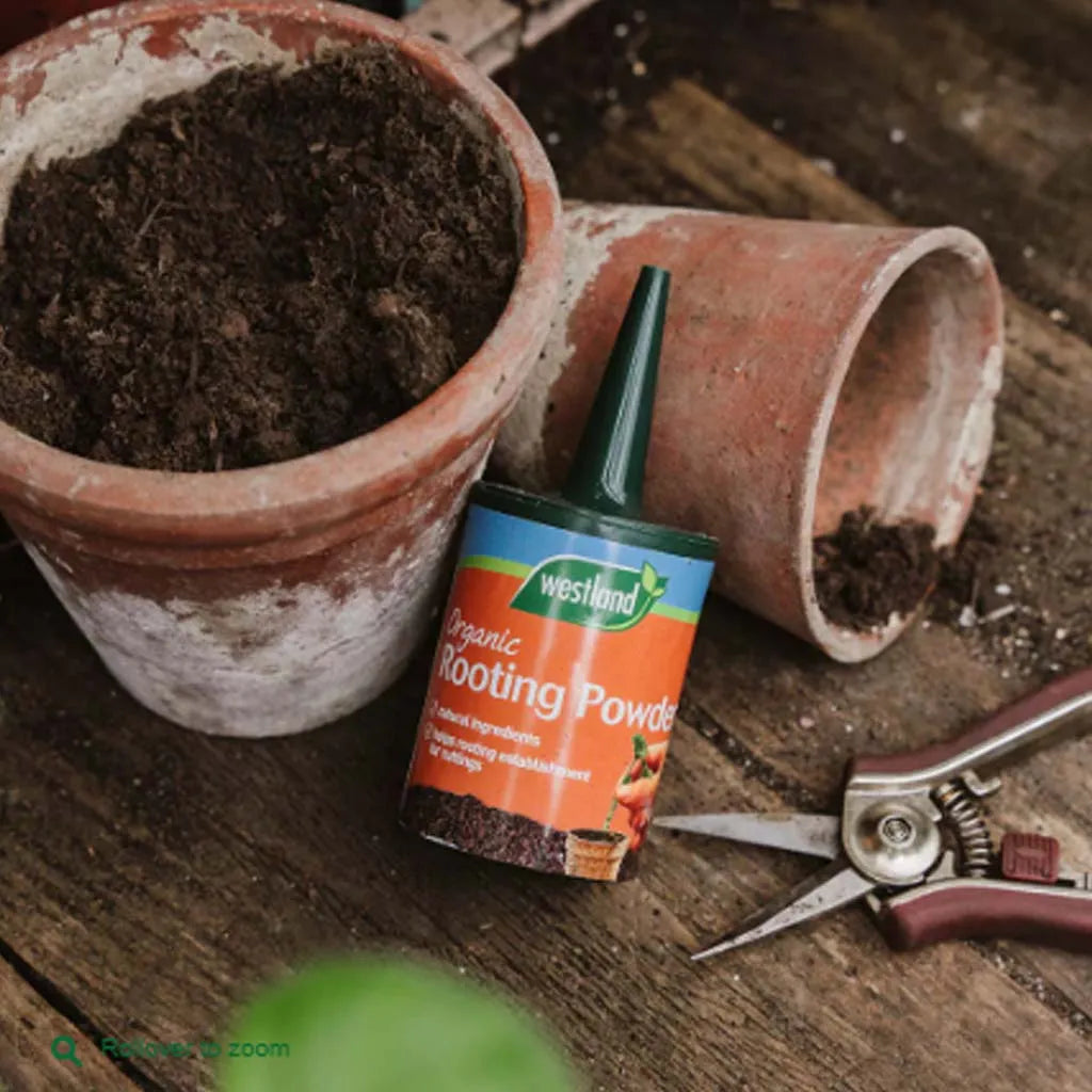 Westland Organic Rooting Powder 100g