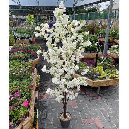 White Cherry Tree Faux 170cm